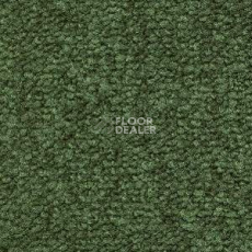 Ковролин Radici Trotter Prato 9504 фото 1 | FLOORDEALER